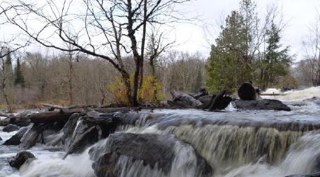 Photo of Oxtongue River rapids