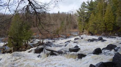 Photo of Oxtongue River rapids