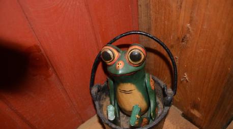 Photo of a showpiece - a frog in a bucket