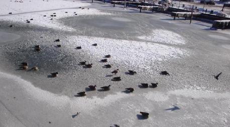 Photo of frozen lake