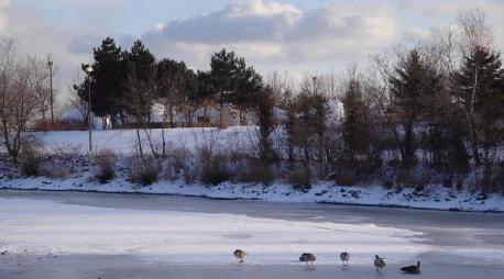 Photo of frozen lake