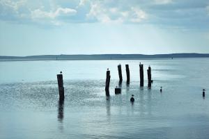 Featured Image for 2013-12-17-Muelle-de-la-Patana-Cienfuegos-Castillo-bay-view.jpg