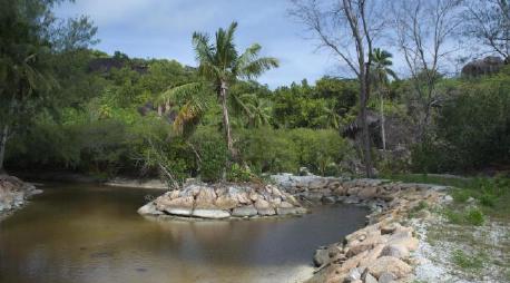 Photo of a small island